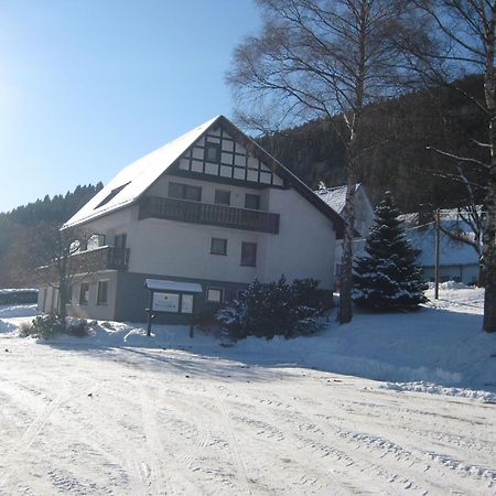 Pension-Gaestehaus Waldhof Winterberg Extérieur photo