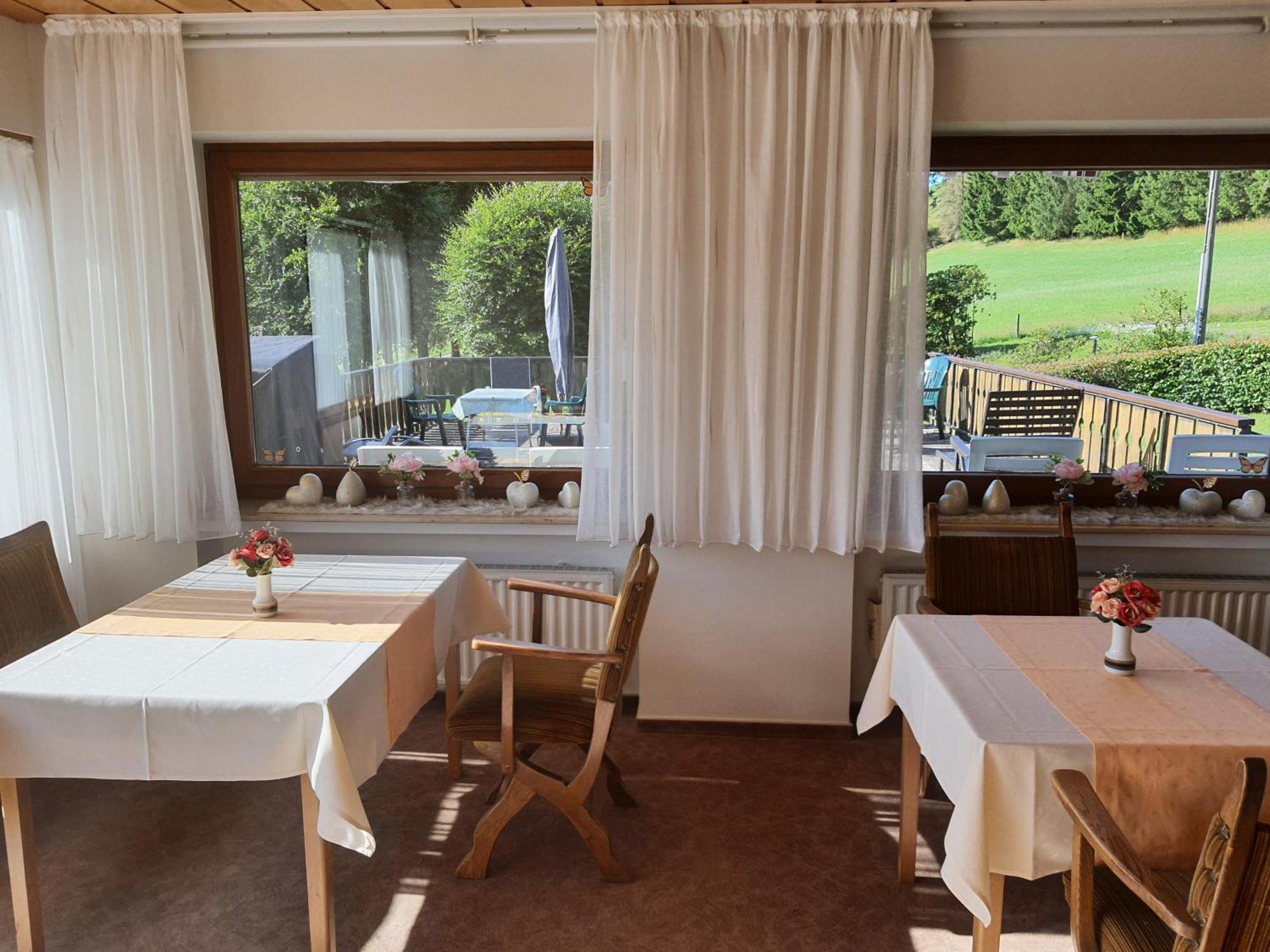 Pension-Gaestehaus Waldhof Winterberg Extérieur photo