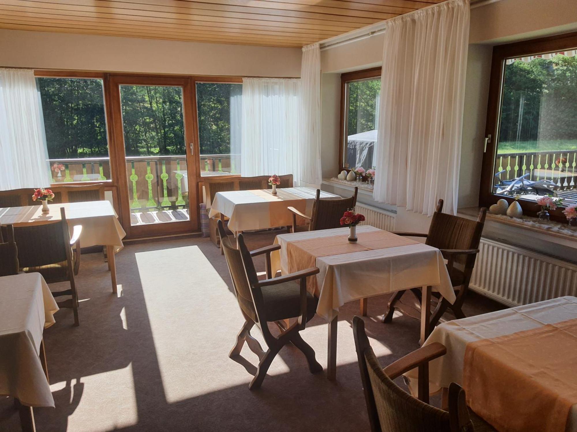 Pension-Gaestehaus Waldhof Winterberg Extérieur photo