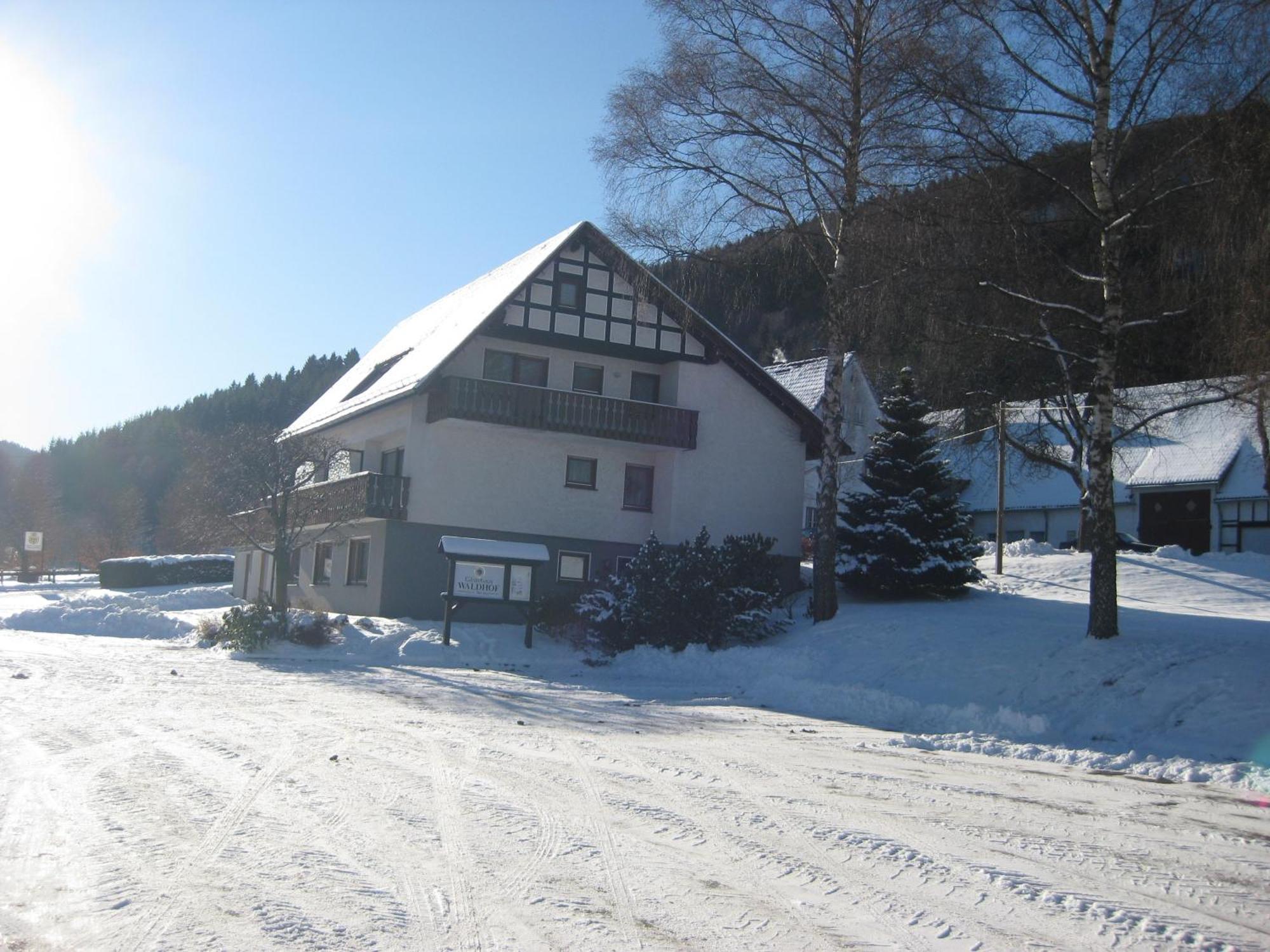 Pension-Gaestehaus Waldhof Winterberg Extérieur photo