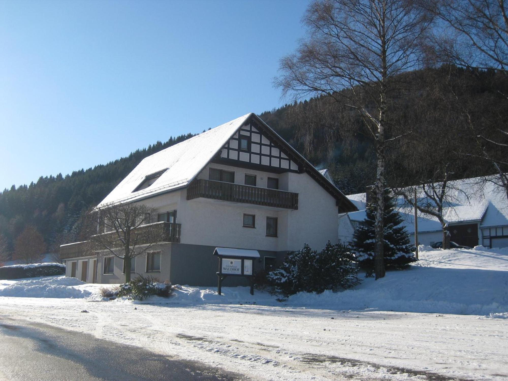 Pension-Gaestehaus Waldhof Winterberg Extérieur photo
