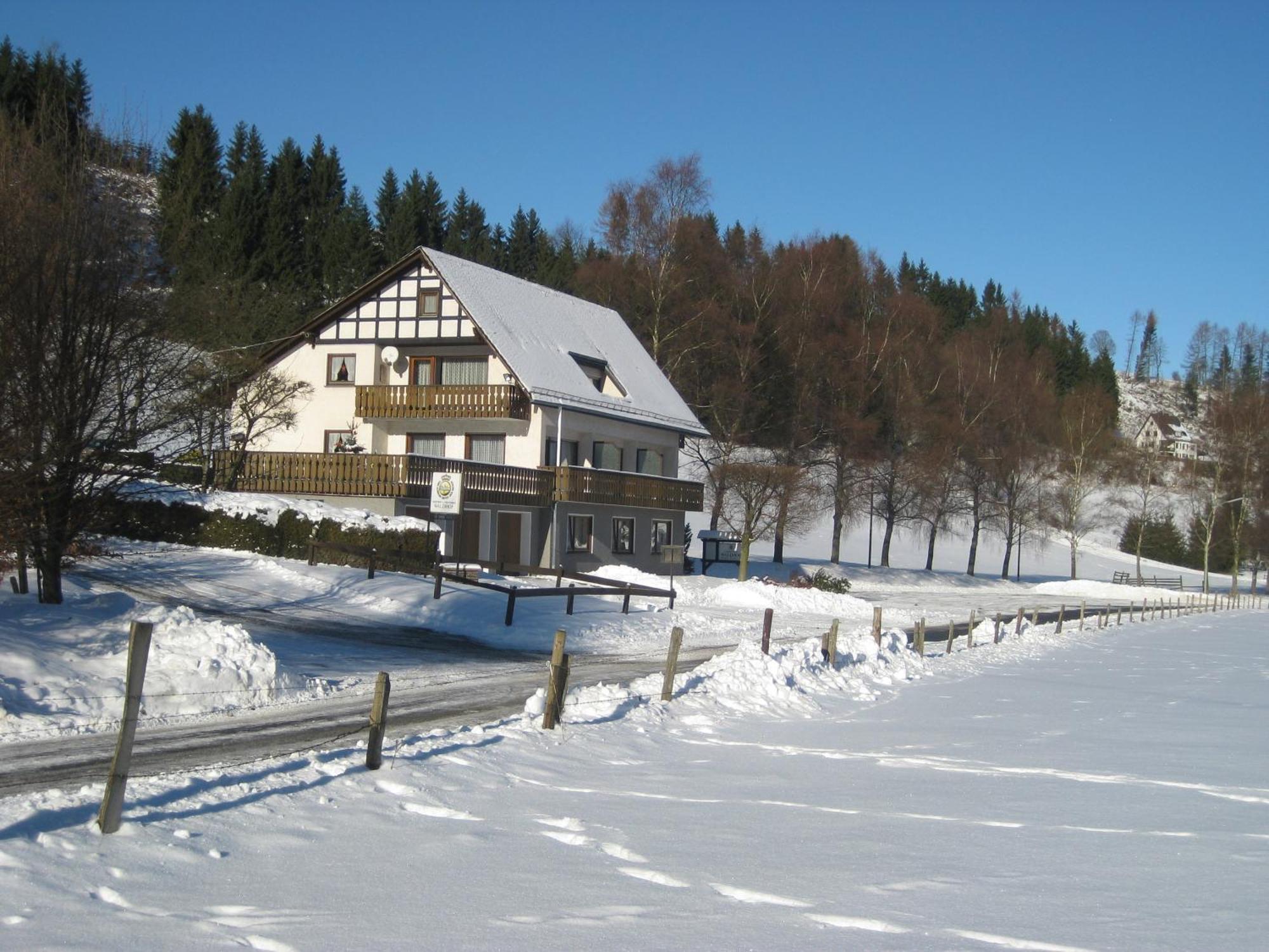 Pension-Gaestehaus Waldhof Winterberg Extérieur photo