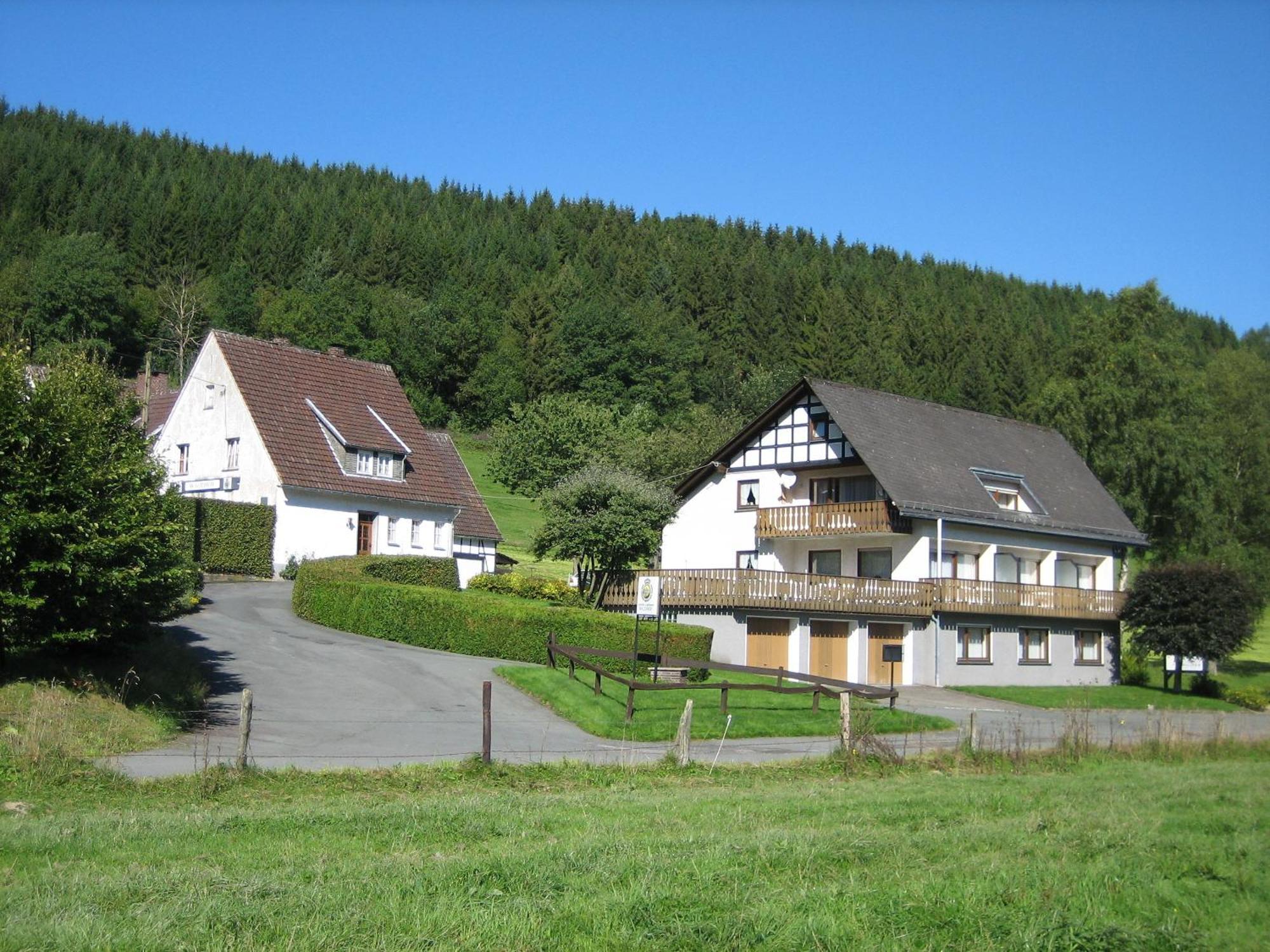 Pension-Gaestehaus Waldhof Winterberg Extérieur photo
